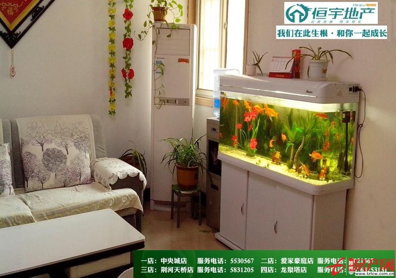 不管您看了多少次,它也不會降一次
