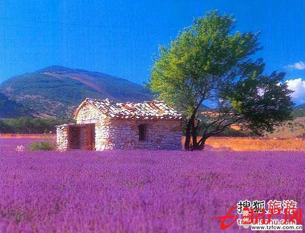 總價低單價低的優(yōu)質(zhì)房安樂組團剛需人士首選超好的地理位置