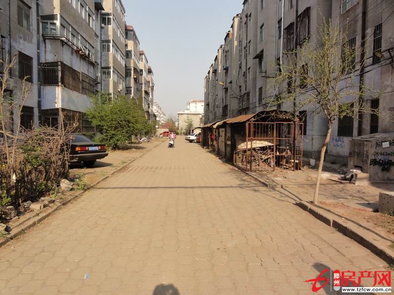 出租別墅，可商住兩用，可當小飯桌、培訓班使用