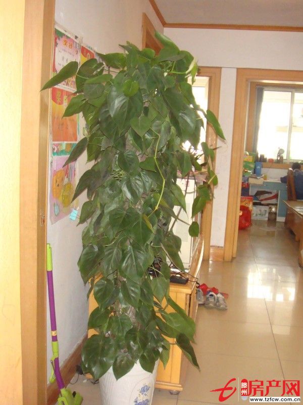 出租龍泉苑小區(qū)房，拎包即住設(shè)施齊全