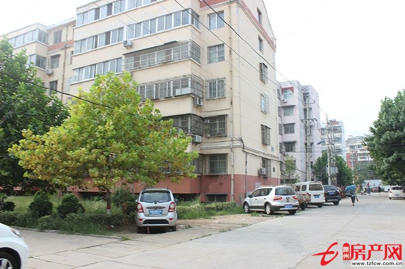 誠信花園,經(jīng)典多層,頂樓,上學(xué)方便,過渡的不二選