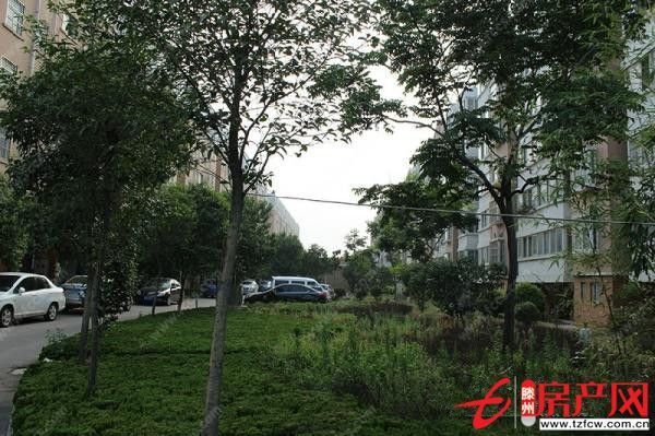 荊善安居，簡單裝修，證滿五年，需全款，儲藏室。