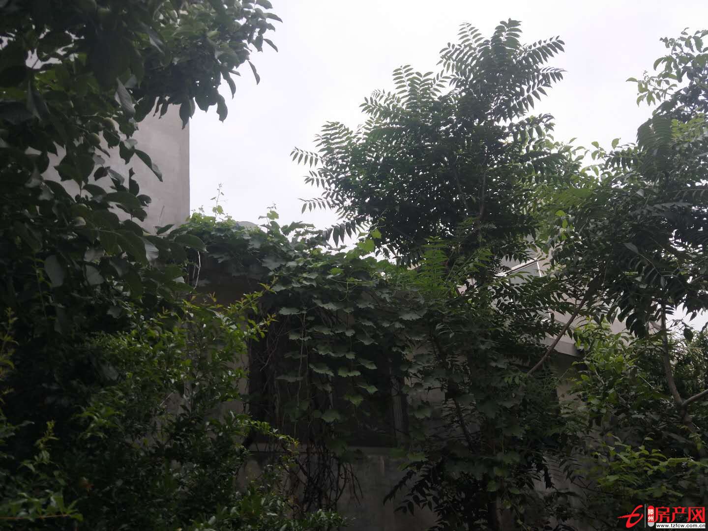 獨院一座，方便清凈